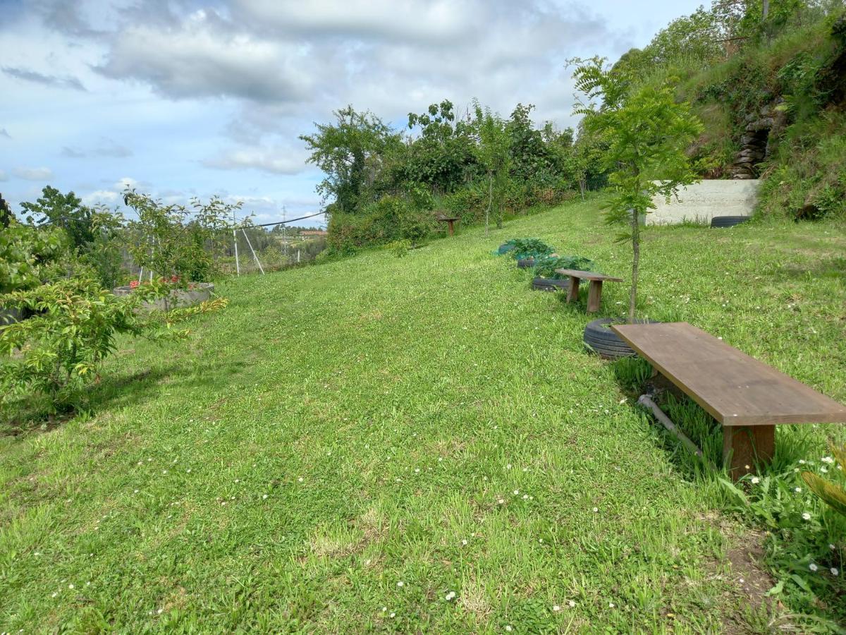 Cabanelas Country House - Casa Do Afonso Vale de Cambra Exterior photo