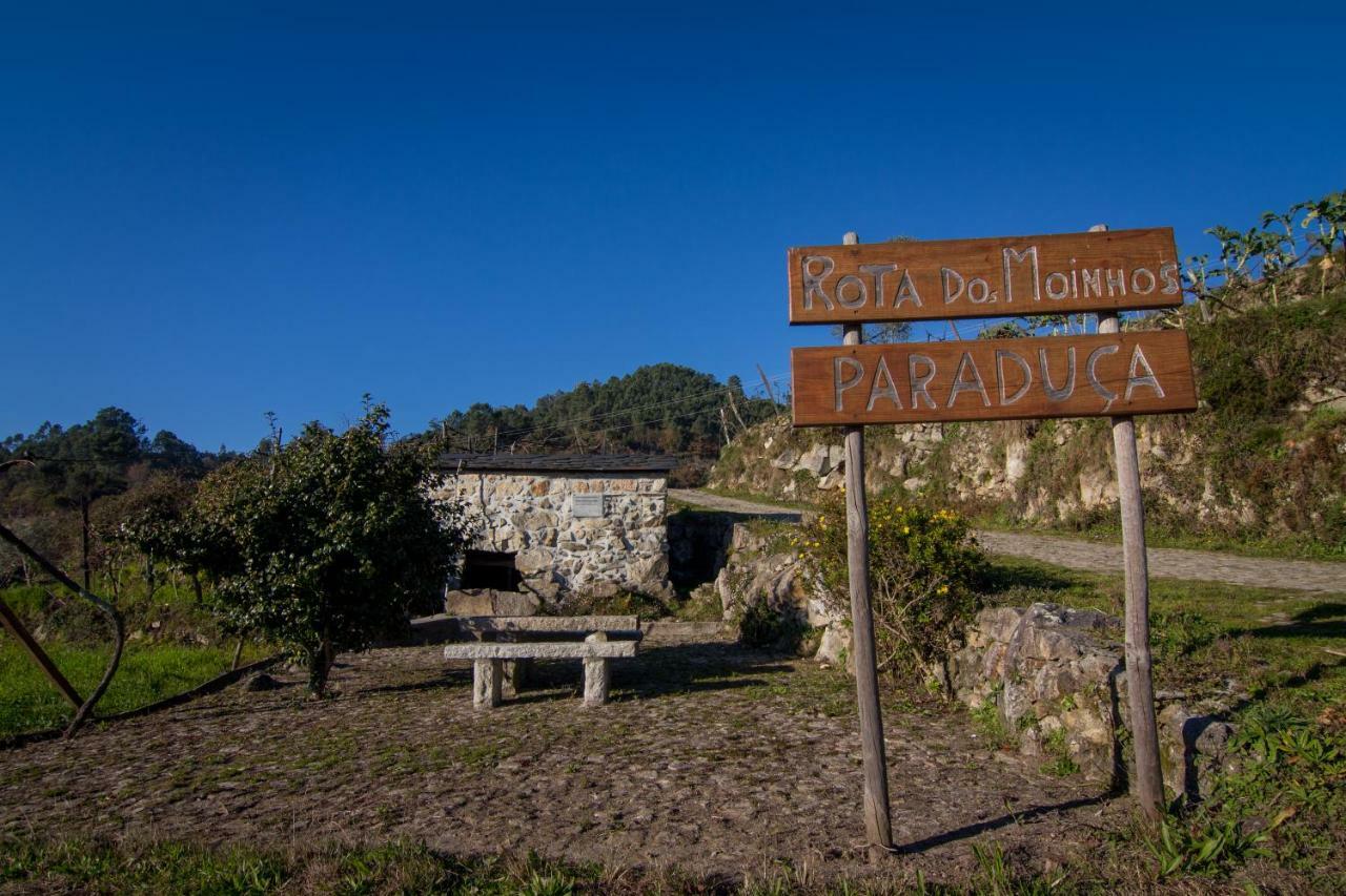 Cabanelas Country House - Casa Do Afonso Vale de Cambra Exterior photo